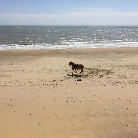 Lovely Seaside * Wexford